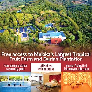 The Orchard Resort & Spa Melaka I World Spa Awards Winner I Free Access To Outdoor Spa Pool